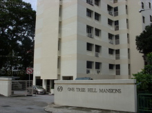 One Tree Hill Mansions (D10), Apartment #1157542